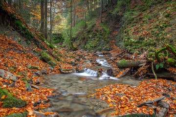 Niewielki górski potok płynący przez las w jesiennych barwach © Michal Przystas