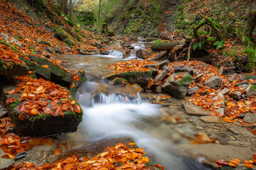 Niewielki górski potok płynący przez las w jesiennych barwach © Michal Przystas