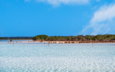 Lake Bacalar or the lake of seven colors