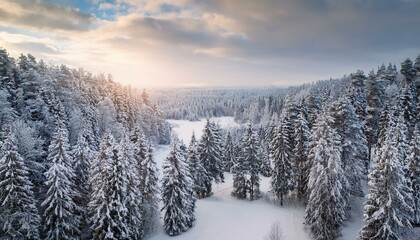Fototapeta premium The snowy mountains are a sanctuary for winter wildlife. 