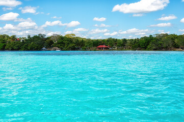 Fototapeta premium Coast of Bacalar Lagoon in Mexico