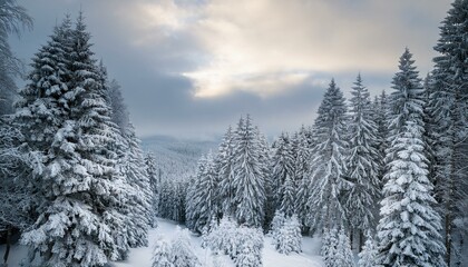 Fototapeta premium The snowy mountains offer breathtaking views and serenity. 