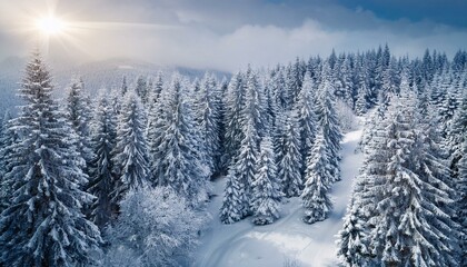 In the snowy mountains, adventure and tranquility coexist.  