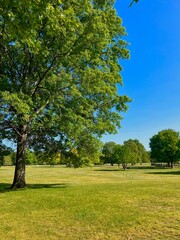 Nature Park Sunny Outdoors