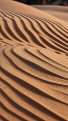 Naklejka premium Textured Sand Dunes at Sunset Highlighting Patterns in a Desert Landscape