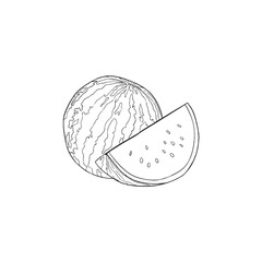 watermelon line art coloring book hand drawn