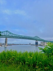 bridge over the river in the city