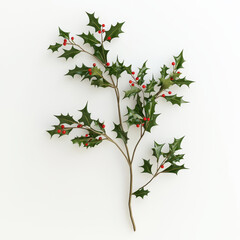 Fototapeta premium A beautiful holly branch featuring vibrant green leaves and bright red berries, perfect for holiday decorations.