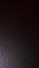 Fototapeta premium Close-up of Textured Black Leather Showing Intricate Patterns and Unique Detailing