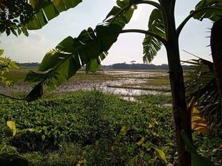 Obraz premium beautiful view of the park, Nature background