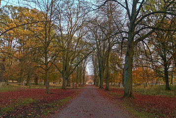 Ein Herbsttag in Tiergarten Hannover