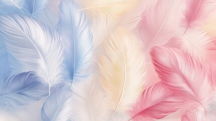 Obraz premium A soft arrangement of pastel feathers in blue, pink, and cream hues, creating a gentle, dreamy atmosphere.