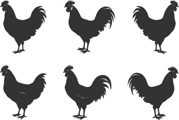 Set of Chicken Silhouette Vector