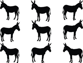 Set of Donkey Silhouette Vector