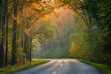 Jesienny wschód słońca, piękny widok, krajobraz. Mglisty poranek i pierwsze słoneczne promienie, tło natury, tapeta © anettastar