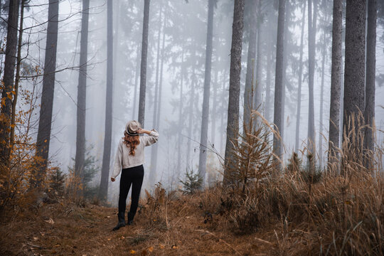  Silhouette of a woman in the forest in the morning mist