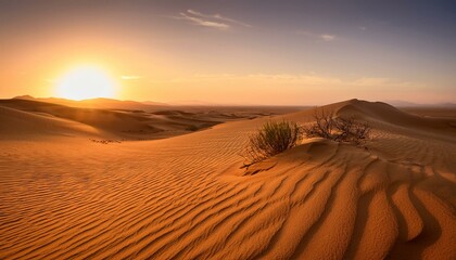 The vast desert challenges the spirit of adventure seekers.  