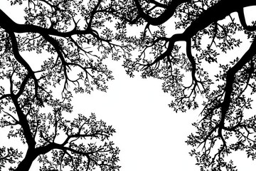 Minimalist Oak Tree Canopy Silhouette in Black and White. AI generated illustration