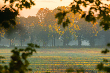 Jesienny wschód słońca, piękny widok, krajobraz. Mglisty poranek i pierwsze słoneczne promienie, tło natury, tapeta © anettastar