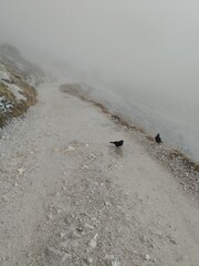 batutiful autumn nature in dolomites mountains