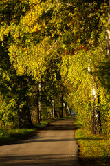Fototapeta premium Jesienny wschód słońca, piękny widok, krajobraz. Mglisty poranek i pierwsze słoneczne promienie, tło natury, tapeta
