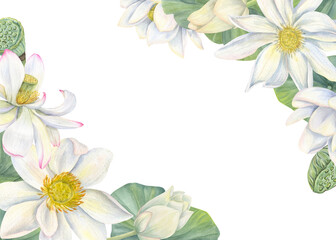 White waterlilies flowers with buds, leaves watercolor horizontal border. Blooming lotus illustration in realistic style. Frame for greeting card, health care package product. Copy space for text