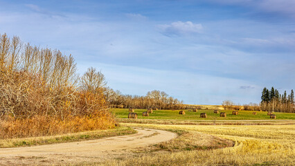 Obraz premium Autumnal farm fields in Saskatchewan
