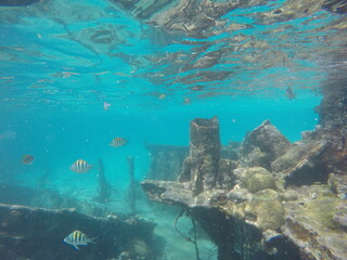 DCIM\100GOPRO\GOPR0716.