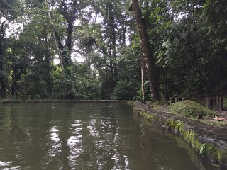 river in the park