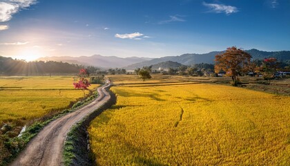 Obraz premium The expansive fields offer a sense of freedom and openness. 