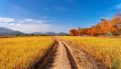 Obraz premium The expansive fields are a symbol of hope and growth. 