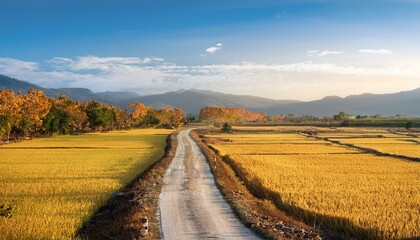 Obraz premium Explore the rich colors of the expansive fields in spring. 