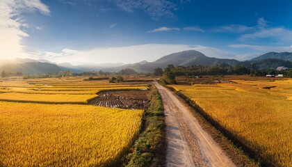 Obraz premium Feel the connection to the earth in the expansive fields. 