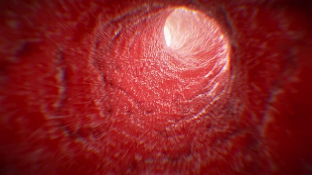 Blood Vessel Seamless Illustration. Camera Moving Inside Artery Macro Human Anatomy. Red Clear Blood Vein Beautiful Close-up View Looped 3d Animation. Futuristic Medical Technology Concept 4k.