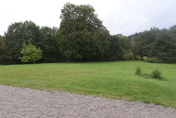 Ambient lawn, public garden