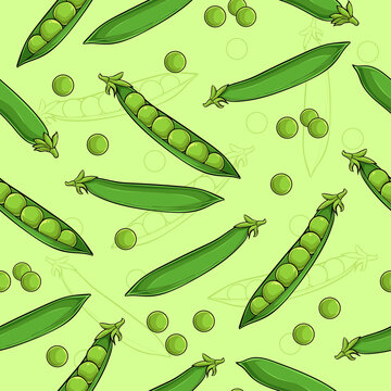 Hand drawn seamless pattern of full and peeled organic healthy green pea pods good for body health