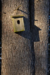 Birdhouse on a tree on Jauerling,Lower Austria,Austria,Europe
