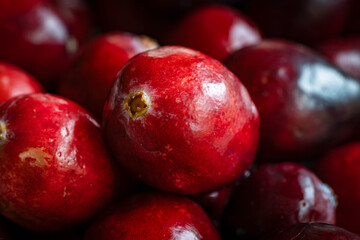 fresh red cranberries fruit