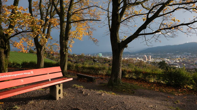 Naherholungsgebiet am Stadtrand in der Stadt Z&uuml;rich, Eine Bank am Waldrand l&auml;dt zu einer Pause ein, K&auml;ferberg im Stadtteil H&ouml;ngg, Herbst

