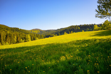Mountains in spring