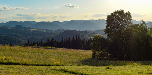 Mountains in spring