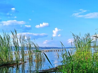 Lake Peten Itza Shoreline at El Pedregal Beach, San Benito, Peten, Guatemala