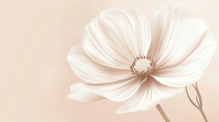 Line art illustration of a white flower against a soft light background