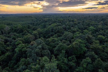 Sunset aerial view tropical rainforest 