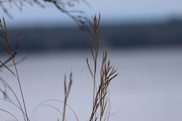 Graves Island, Nova Scotia, November 7 2024