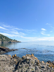 San Juan Island