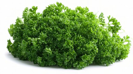 Fototapeta premium Fresh Parsley Bunch Isolated on White Background, Perfect for Culinary Use, Cooking Recipes, Food Styling, and Healthy Eating Concepts