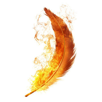 Burning feather phoenix bird in flames isolated on transparent background