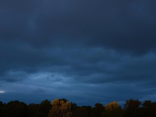 Obraz premium Softly glowing trees against a backdrop of a darkening cloudy sky, nature, evening