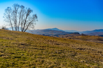 Mountains in spring